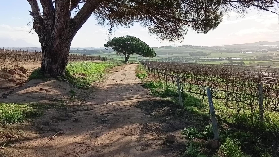 5 Bedroom Property for Sale in Stellenbosch Farms Western Cape